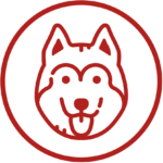 Dog Class Icon